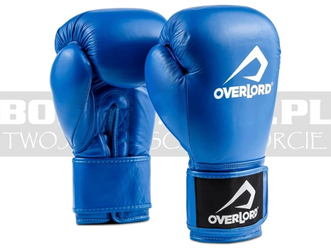 overlord-gloves-champion-blue-1.jpg