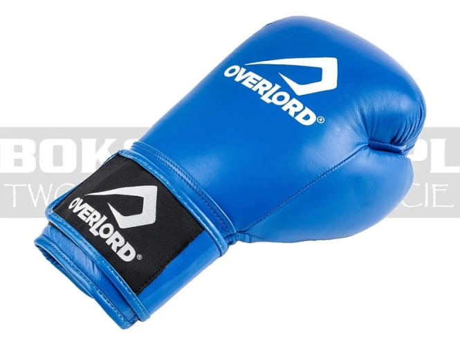 overlord-gloves-champion-blue-3.jpg