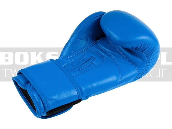 overlord-gloves-champion-blue-4.jpg