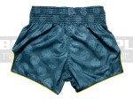 BS1915-fairtex-spodenki-clubber-turquoise-5.jpg