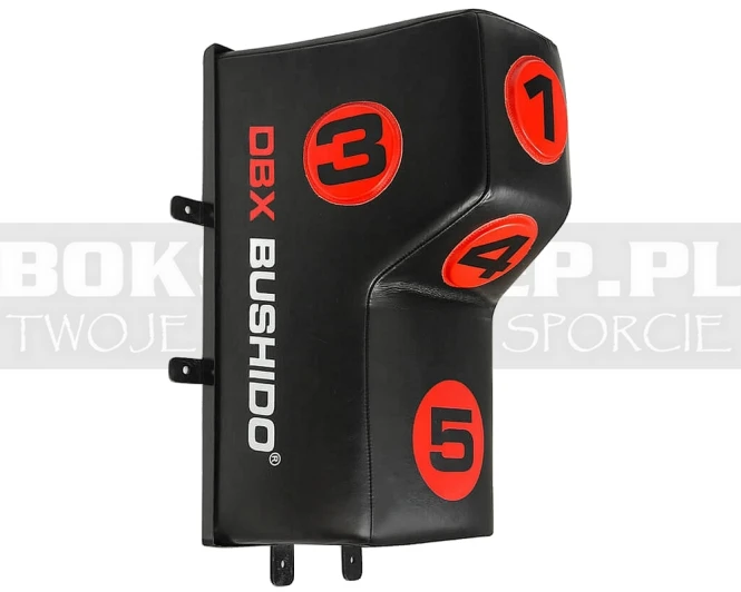 DBX-W-10B-dbx-tarcza-na-sciane-leader-4.jpg