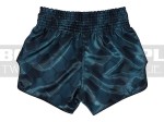 BS1902-fairtex-spodenki-grey-4.jpg