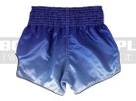 BS1905-fairtex-spodenki-blue-4.jpg