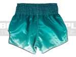 BS1906-fairtex-spodenki-green-4.jpg