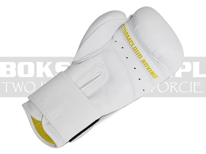stormcloud-boxing-gloves-boxing-pro-white-4.jpg