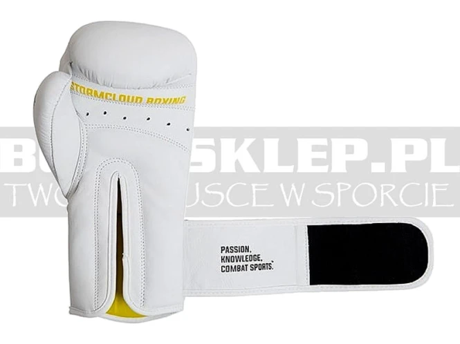 stormcloud-boxing-gloves-boxing-pro-white-5.jpg