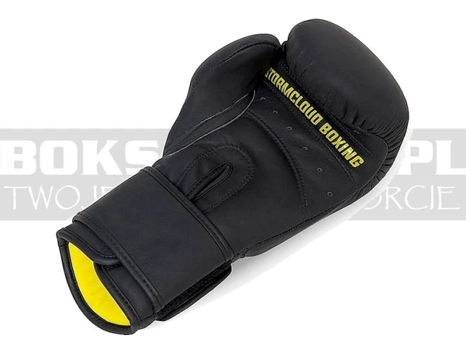 stormcloud-boxing-gloves-boxing-pro-black-4.jpg