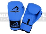 overlord-gloves-rage-blue-matt-1.jpg