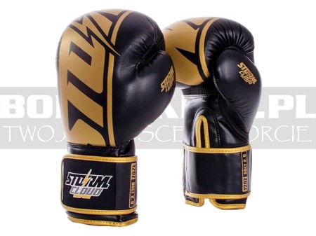 stormcloud-boxing-glowes-bolt-2.0-black-gold-1.jpg