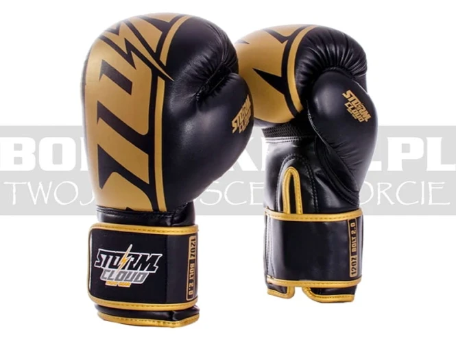 stormcloud-boxing-glowes-bolt-2.0-black-gold-1.jpg