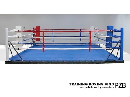training-boxing-ring-1A.jpg