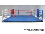 training-boxing-ring-1A.jpg