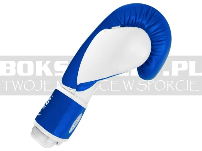RBT-TRW-masters-gloves-wako-leather-blue-white-2.jpg