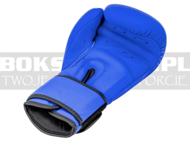 overlord-gloves-rage-blue-mat-4.jpg