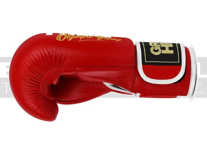 BGT-2010-EU-green-hill-boxing-gloves-tiger-red-3.jpg