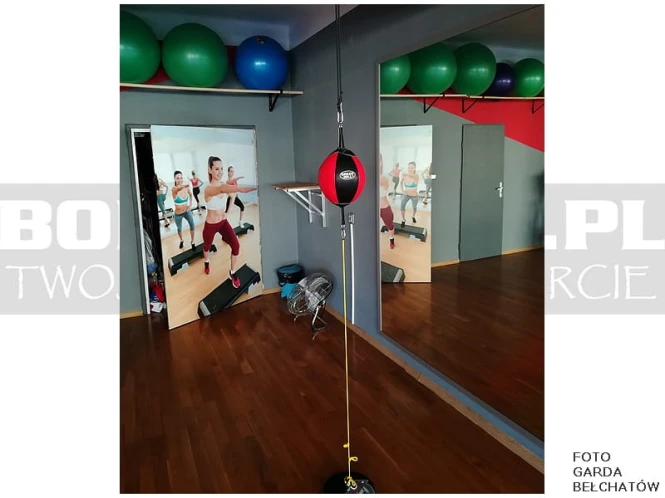 DEBB-5111-speed-ball-reflex-beta-4.jpg