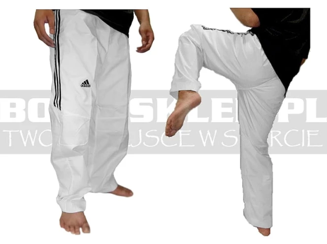 ADITTR01-adidas-spodnie-treningowe-TKD-white-2.jpg